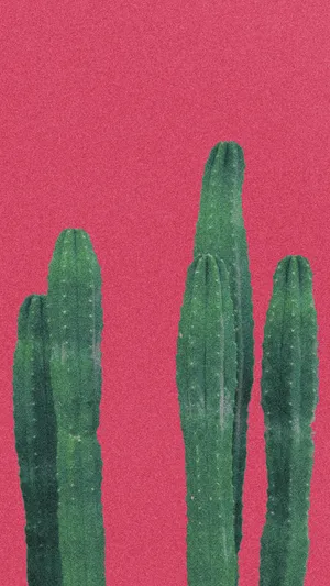 Plain Red Aesthetic Minimalist Plant Wallpaper