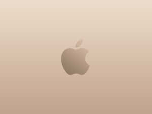 Plain Rose Gold Apple Wallpaper