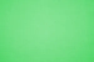 Plain Textured Light Green Wallpaper