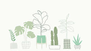 Plant Aesthetic Laptop [wallpaper] Wallpaper