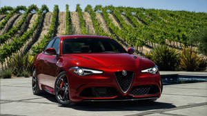 Plant Field Alfa Romeo Giulia Wallpaper