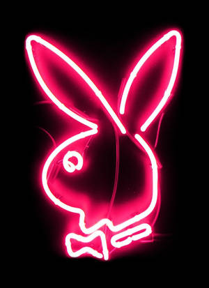 Playboy Logo Neon Pink Light Wallpaper