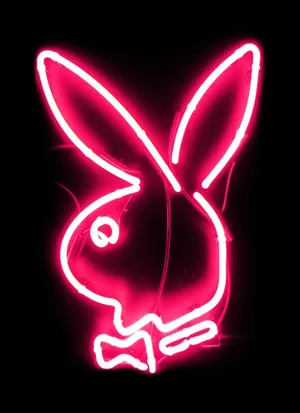 Playboy Logo Neon Pink Light Wallpaper