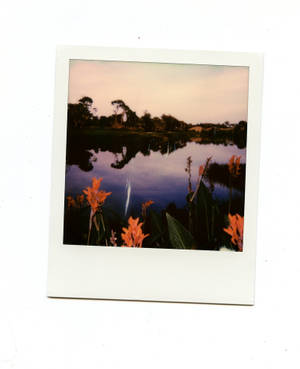 Polaroid Of A Lake Wallpaper