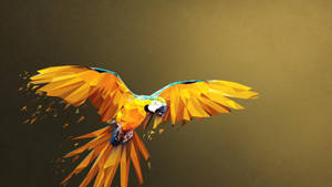 Polygon Art Parrot Wallpaper