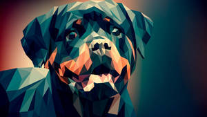 Polygon Art Rottweiler Wallpaper