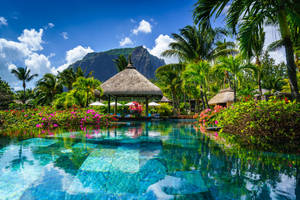 Pool In Mauritius Wallpaper