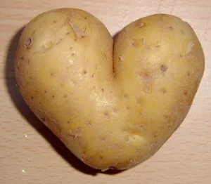 Potato In Lovely Heart Shape Wallpaper