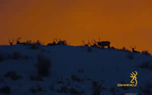 Power Of Browning Desktop Wallpaper