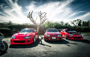 Powerful Lineup Of Modified Toyota Supra Mk4 Wallpaper