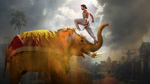 Prabhas On Elephant Wallpaper