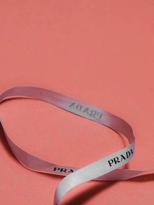 Prada Ribbon Pink Background Wallpaper