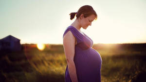 Pregnant Meadow Photoshoot Wallpaper
