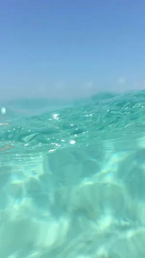 Pretty Ocean Over And Under Water Wallpaper