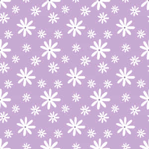 Pretty Purple Surface Covered With Daisies Wallpaper