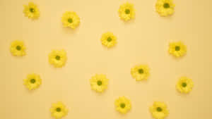 Pretty Yellow Aesthetic Flower Desktop Wallpaper