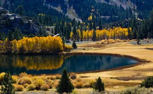 Preview Wallpaper Autumn, Lake, Trees, Mountains Wallpaper