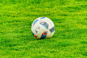 Preview Wallpaper Ball, Football, Lawn, Grass Wallpaper