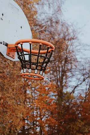 Preview Wallpaper Basketball Hoop, Basketball, Hoop, Net Wallpaper