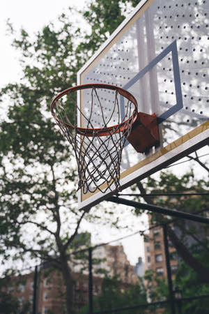 Preview Wallpaper Basketball Hoop, Shield, Court Wallpaper