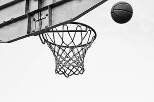 Preview Wallpaper Basketball, Net, Ring, Bw Wallpaper