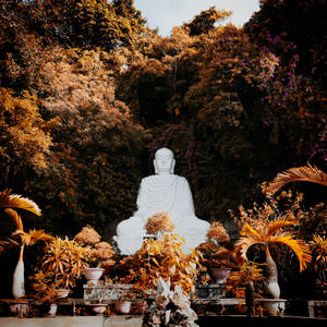 Preview Wallpaper Buddha, Buddhism, Harmony, Sculpture, Trees, Plants Wallpaper