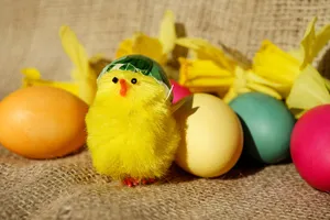 Preview Wallpaper Chick, Eggs, Easter Wallpaper
