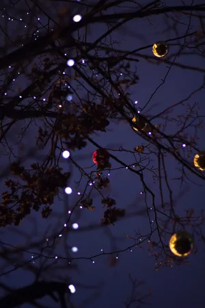 Preview Wallpaper Christmas Toys, Garland, Light, Tree, Branches, New Year, Christmas Wallpaper