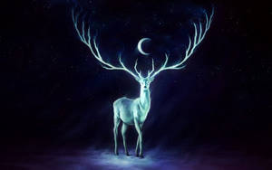 Preview Wallpaper Deer, Horns, Moon, Stars Wallpaper