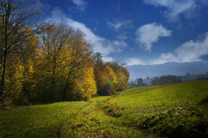 Preview Wallpaper Fall, Field, Grass, Sky, Trees Wallpaper