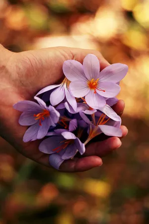 Preview Wallpaper Flowers, Spring, Hands Wallpaper