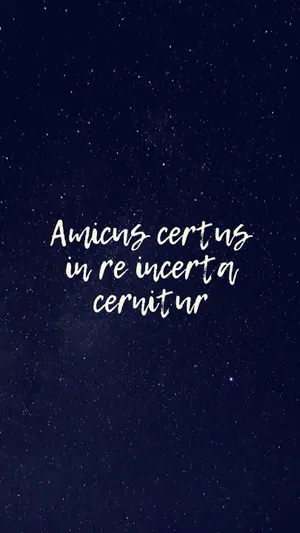 Preview Wallpaper Friends, Friendship, Proverb, Wisdom, Inscription Wallpaper