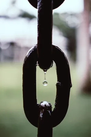 Preview Wallpaper Goal, Links, Drop, Macro Wallpaper