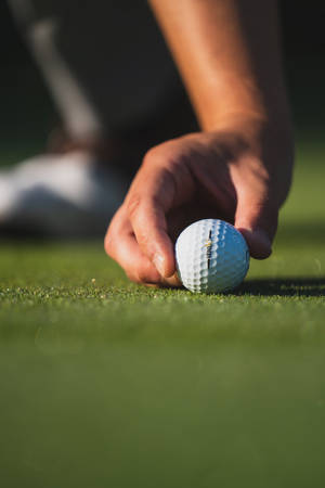 Preview Wallpaper Golf, Ball, Hand, Fingers, Grass, Sport Wallpaper