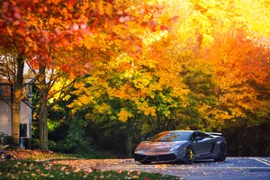 Preview Wallpaper Lamborghini, Autumn, Gallardo, Superleggera, Lp570 Wallpaper