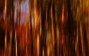 Preview Wallpaper Line, Vertical, Light, Shadow Wallpaper