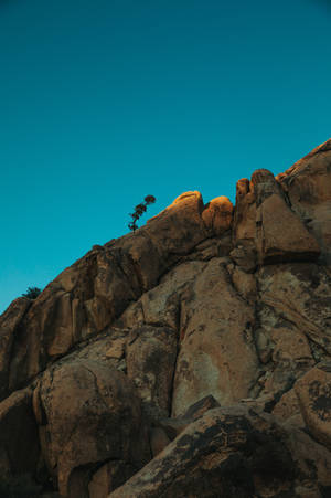 Preview Wallpaper Minimalism, Sky, Rocks, Plant Wallpaper