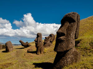 Preview Wallpaper Moai, Statue, Idol, Easter Island, Stone Wallpaper