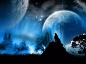 Preview Wallpaper Moonlight, Wolf, Fantasy Wallpaper