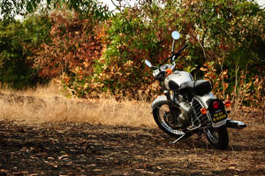 Preview Wallpaper Motorcycle, Autumn, Vehicle Wallpaper