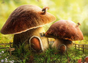 Preview Wallpaper Mushroom, House, Door, Art Wallpaper