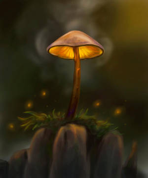 Preview Wallpaper Mushroom, Particles, Grass, Art Wallpaper