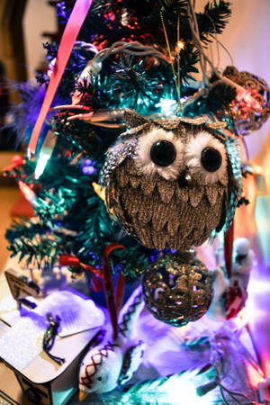 Preview Wallpaper New Year, Christmas, Christmas Tree Toy, Owl Wallpaper