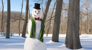 Preview Wallpaper New Year, Christmas, Winter, Snowman, Scarf, Trees, Snow Wallpaper