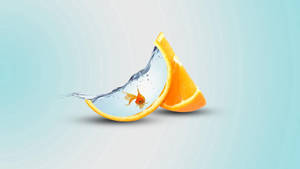 Preview Wallpaper Orange, Slice, Fish, Water Wallpaper