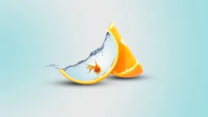 Preview Wallpaper Orange, Slice, Fish, Water Wallpaper
