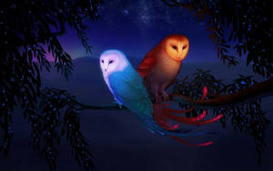 Preview Wallpaper Owl, Night, Birds, Branch Wallpaper
