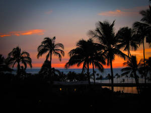 Preview Wallpaper Palm Trees, Sunset, Hawaii, Ocean, Horizon Wallpaper