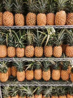 Preview Wallpaper Pineapples, Fruit, Tropical, Shelf Wallpaper