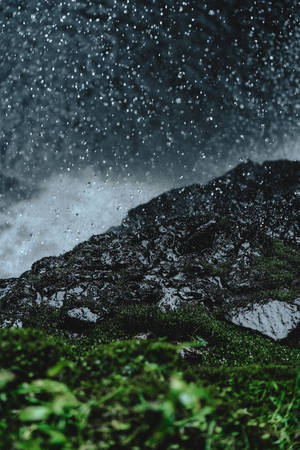 Preview Wallpaper Rain, Drops, Ground, Grass, Moss Wallpaper